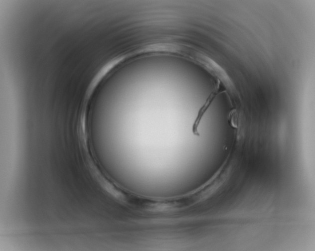 X0000114230796200910091447
