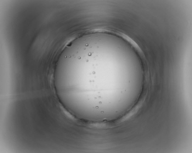 X0000114230801200910091447