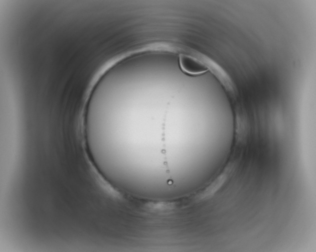 X0000114230808200910091447