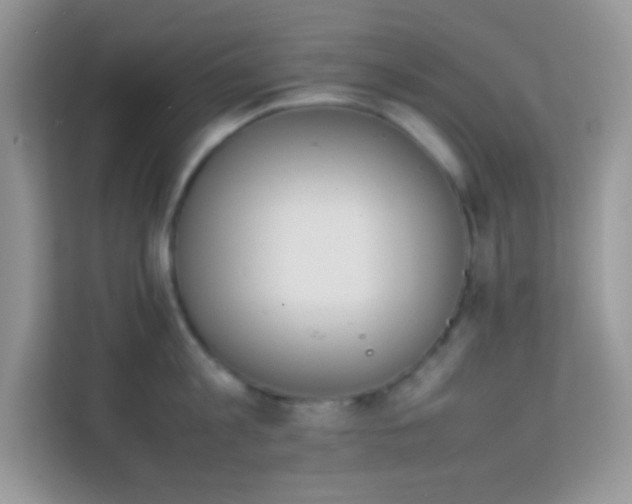 X0000114230813200910091447