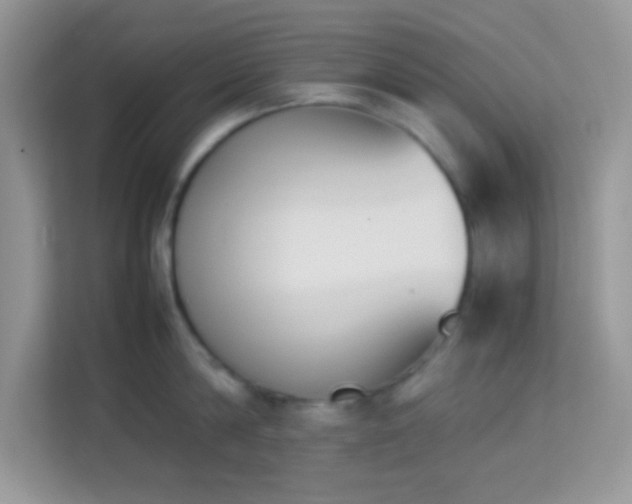 X0000114230814200910091447