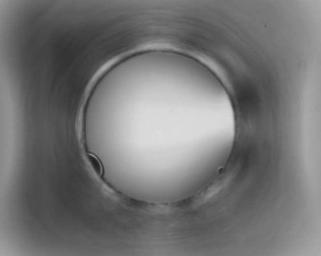 X0000114230815200910091447