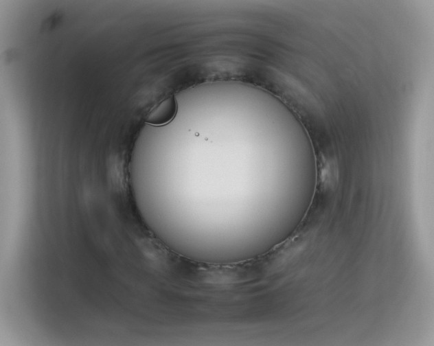 X0000114230819200910091446