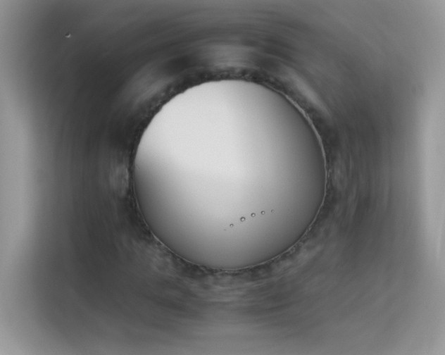 X0000114230821200910091447