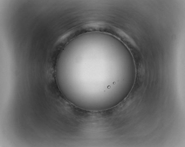 X0000114230822200910091447