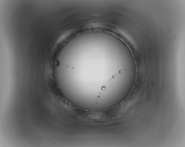 X0000114230823200910091447