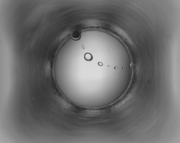 X0000114230825200910091447