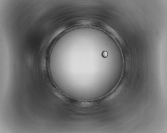 X0000114230827200910091447