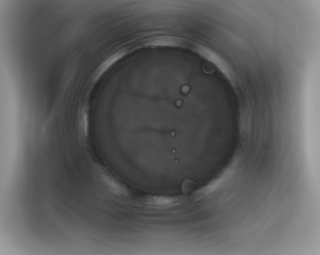 X0000114230829200910091447