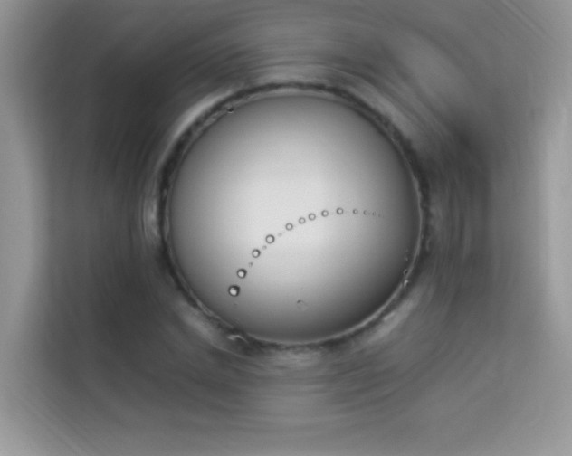 X0000114230830200910091447