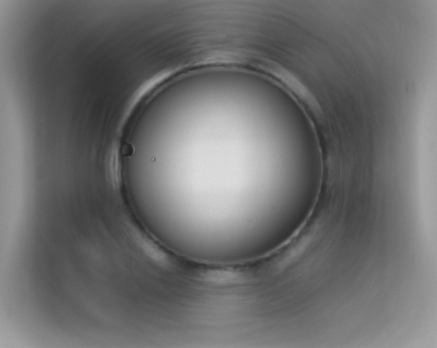 X0000114230838200910091447