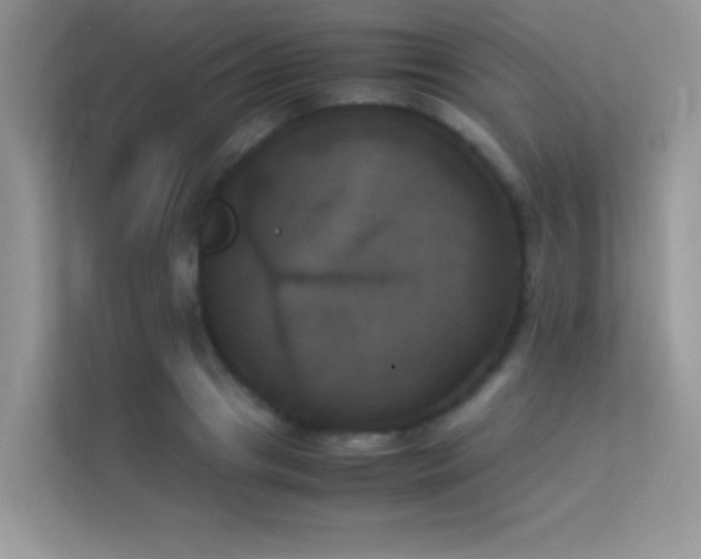 X0000114230841200910091447