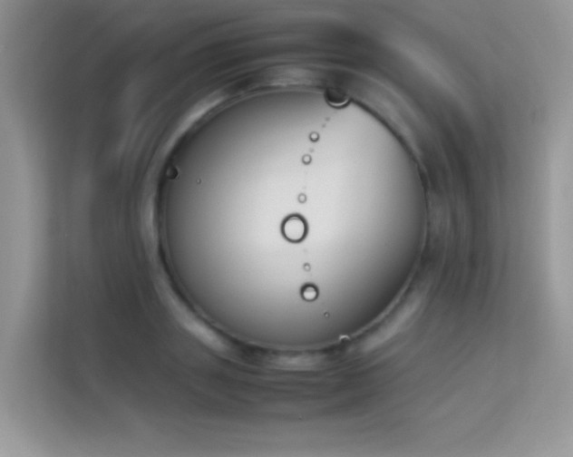 X0000114230843200910091447