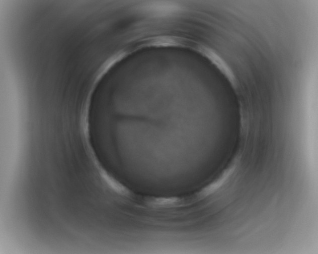 X0000114230845200910091447