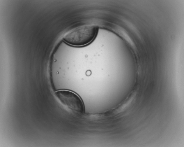X0000114230847200910091447