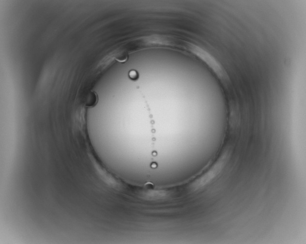 X0000114230849200910091447