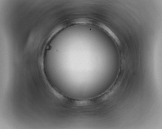X0000114230853200910091447