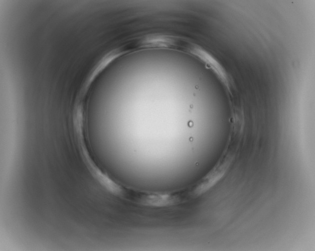 X0000114230859200910091447