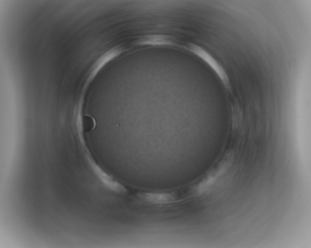 X0000114230861200910091447