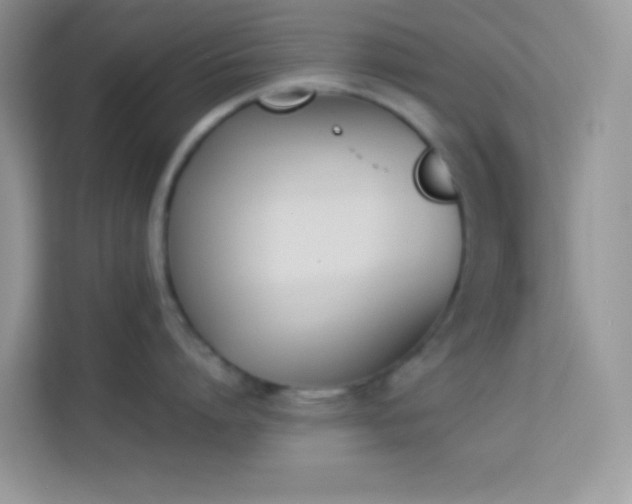 X0000114230864200910091447
