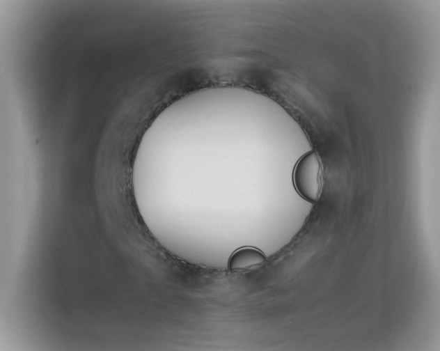 X0000114230865200910091446