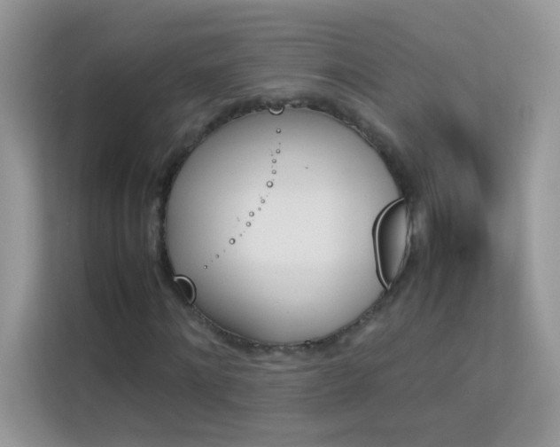 X0000114230868200910091446