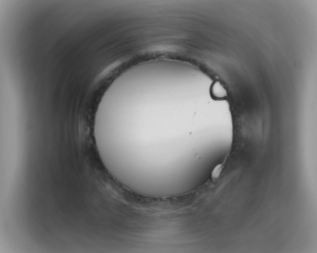 X0000114230872200910091446