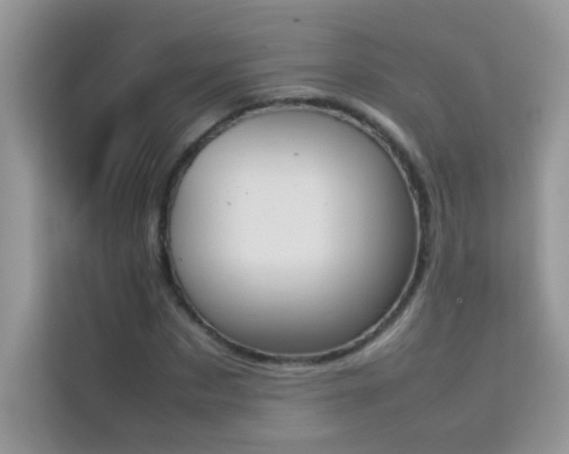 X0000114230873200910091446