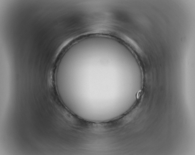 X0000114230875200910091446