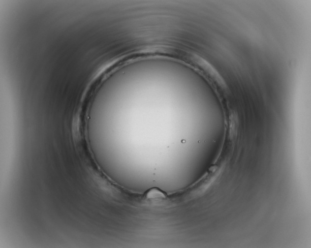 X0000114230876200910091446