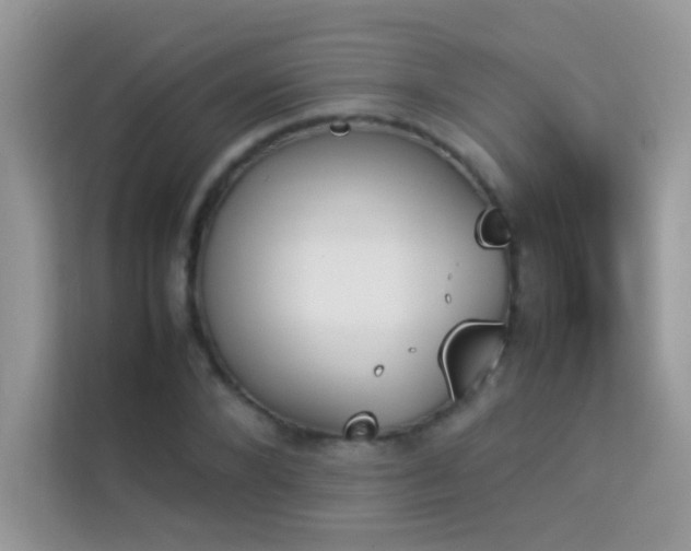 X0000114230880200910091446
