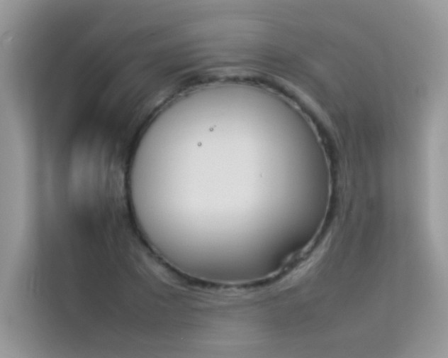 X0000114230881200910091446
