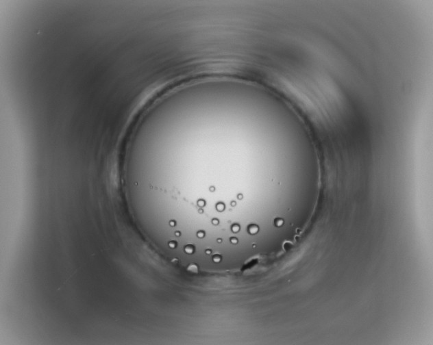 X0000114230883200910091446