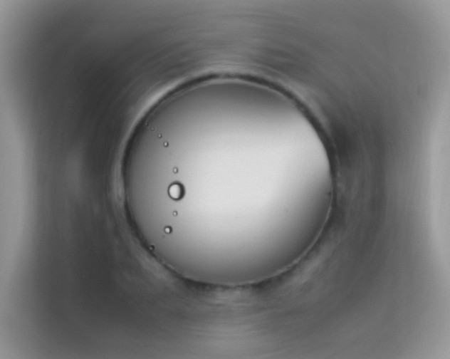 X0000114230887200910091446