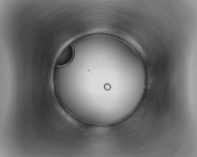 X0000114230888200910091446