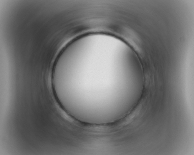 X0000114230895200910091446