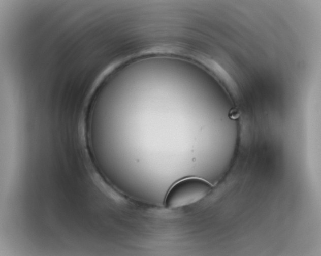 X0000114230896200910091446