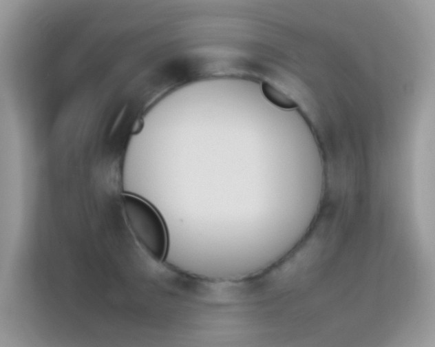 X0000114230897200910091446