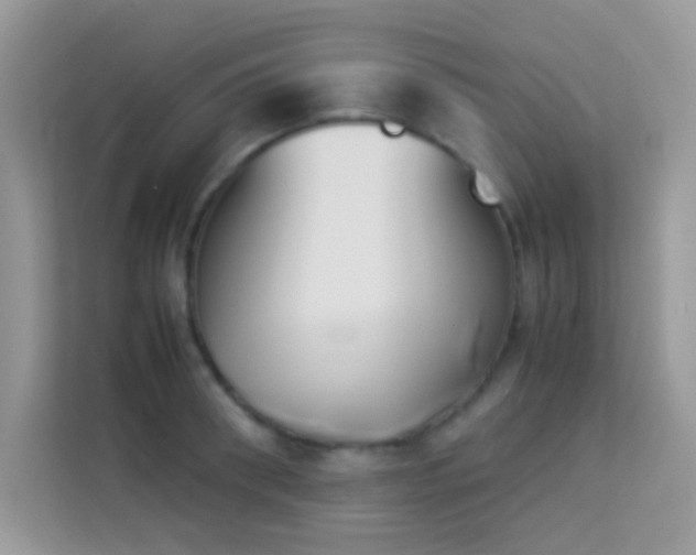 X0000114230898200910091446