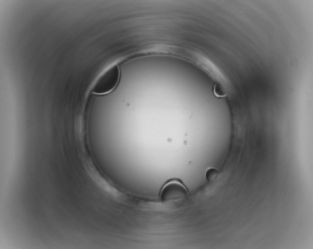 X0000114230900200910091446