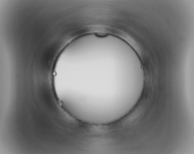 X0000114230901200910091446