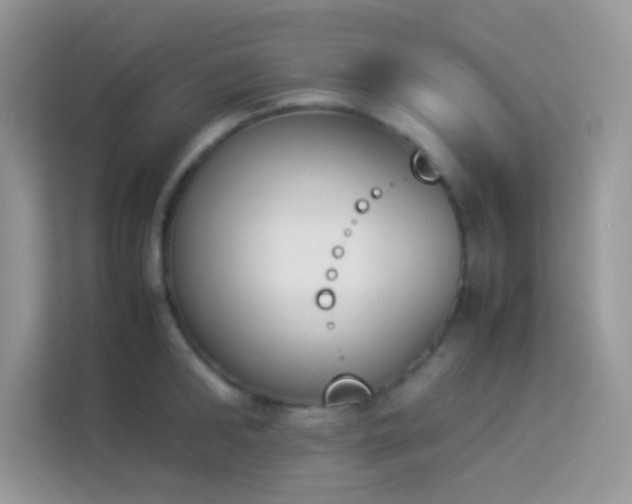 X0000114230902200910091446