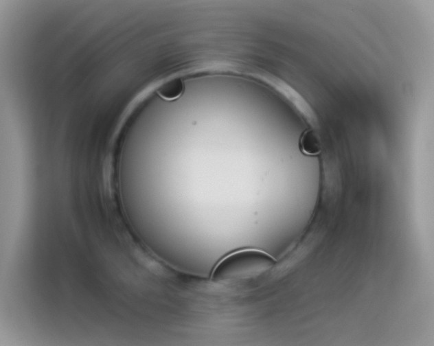 X0000114230904200910091446