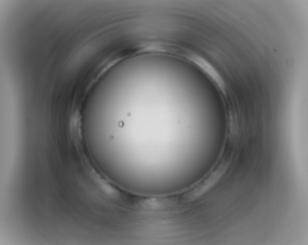 X0000114230906200910091446