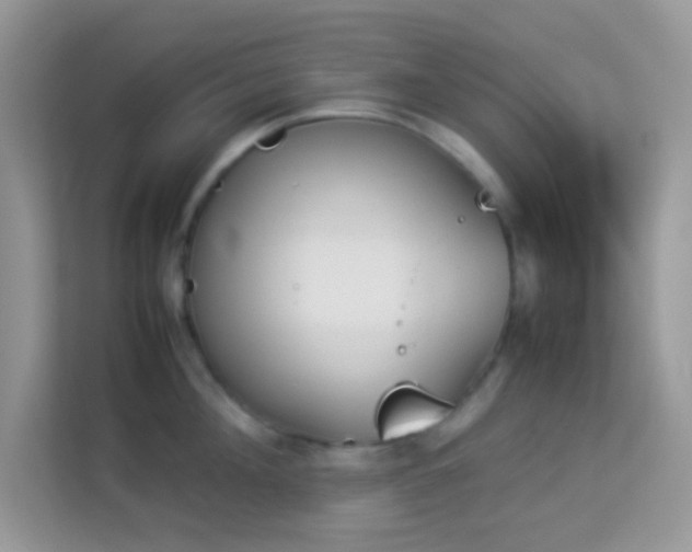 X0000114230908200910091446