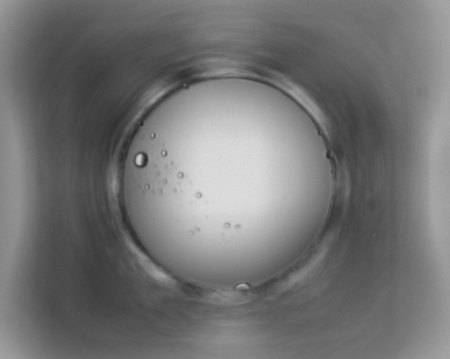 X0000114230909200910091446