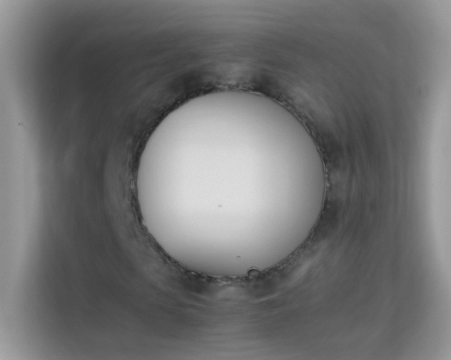 X0000114230913200910091445