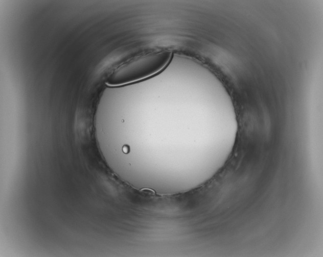 X0000114230920200910091445