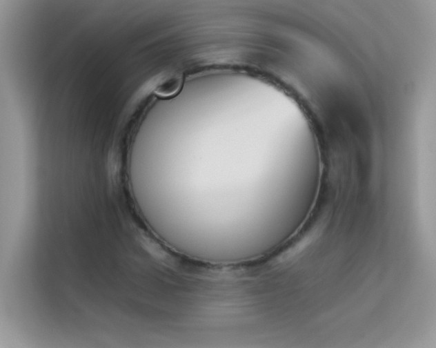 X0000114230922200910091445