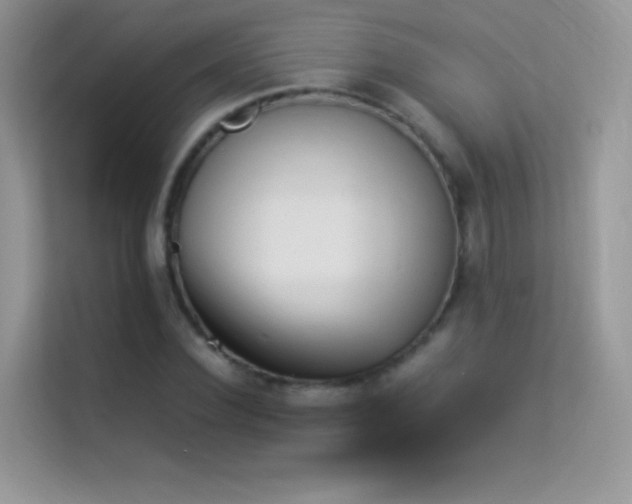 X0000114230924200910091445